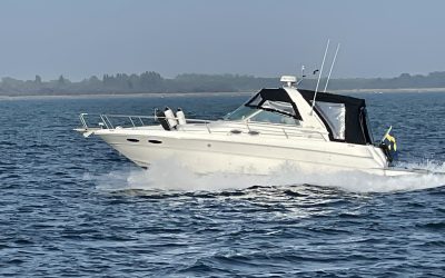 Sea Ray 310